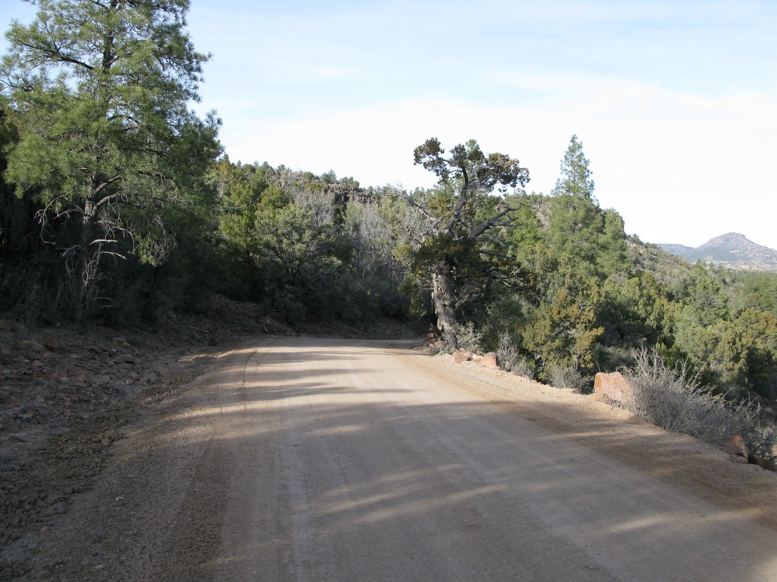 The Crazy Bear Chronicles: Skull Valley, Bagdad and the Yolo Ranch: an ...