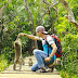 Kembang Island - Royal Ape