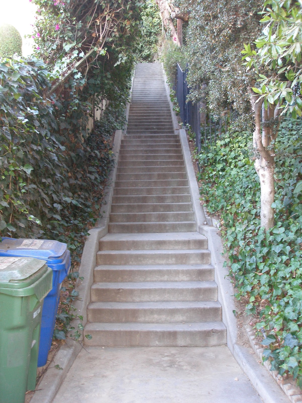 Los Angeles Climbing the Hidden Stairways Staircases in
