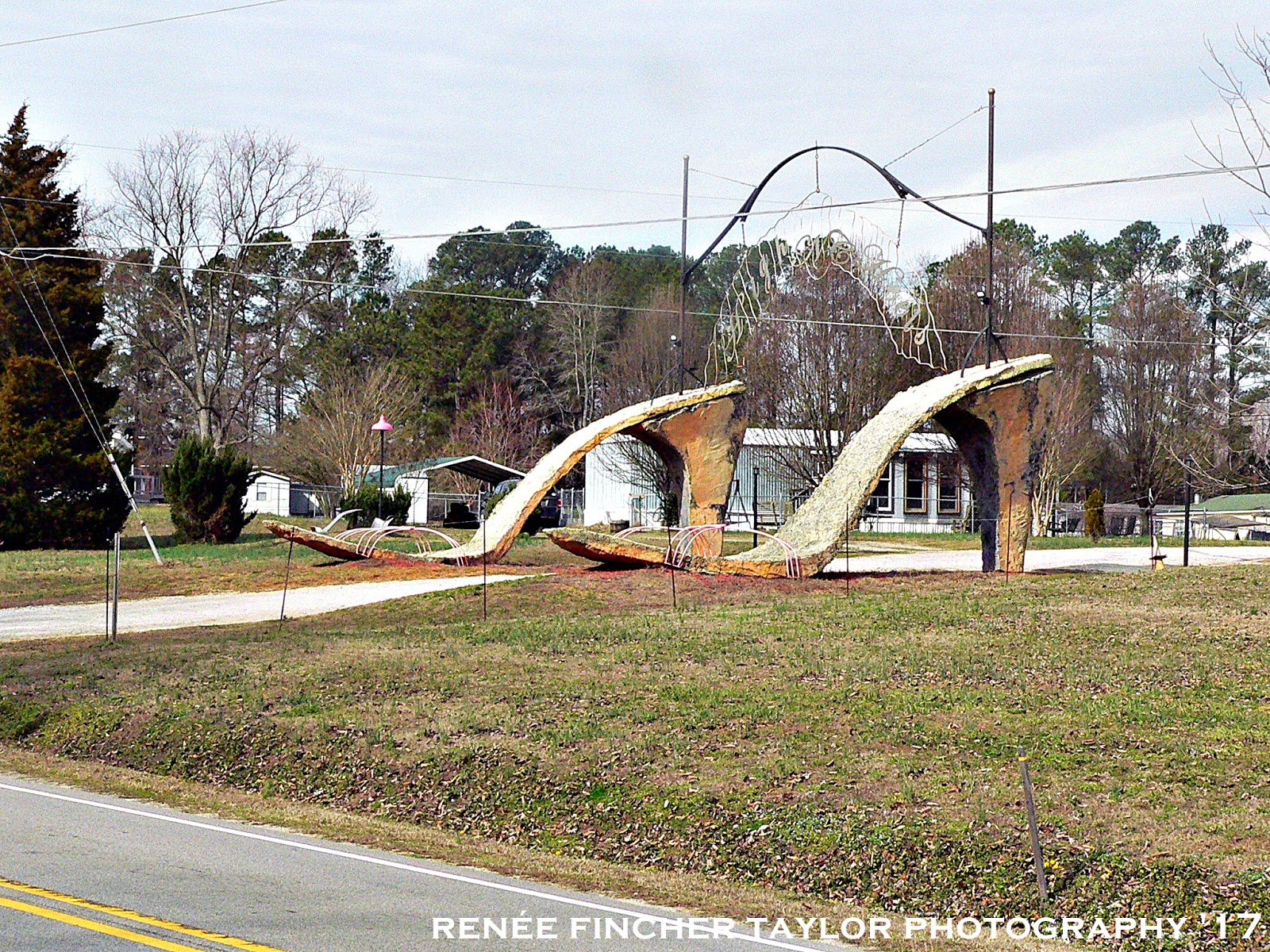 The Giant Legs of Henderson, NC