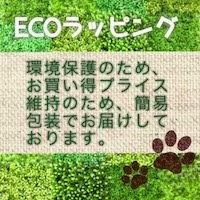 ecoラッピングでお届けしています。