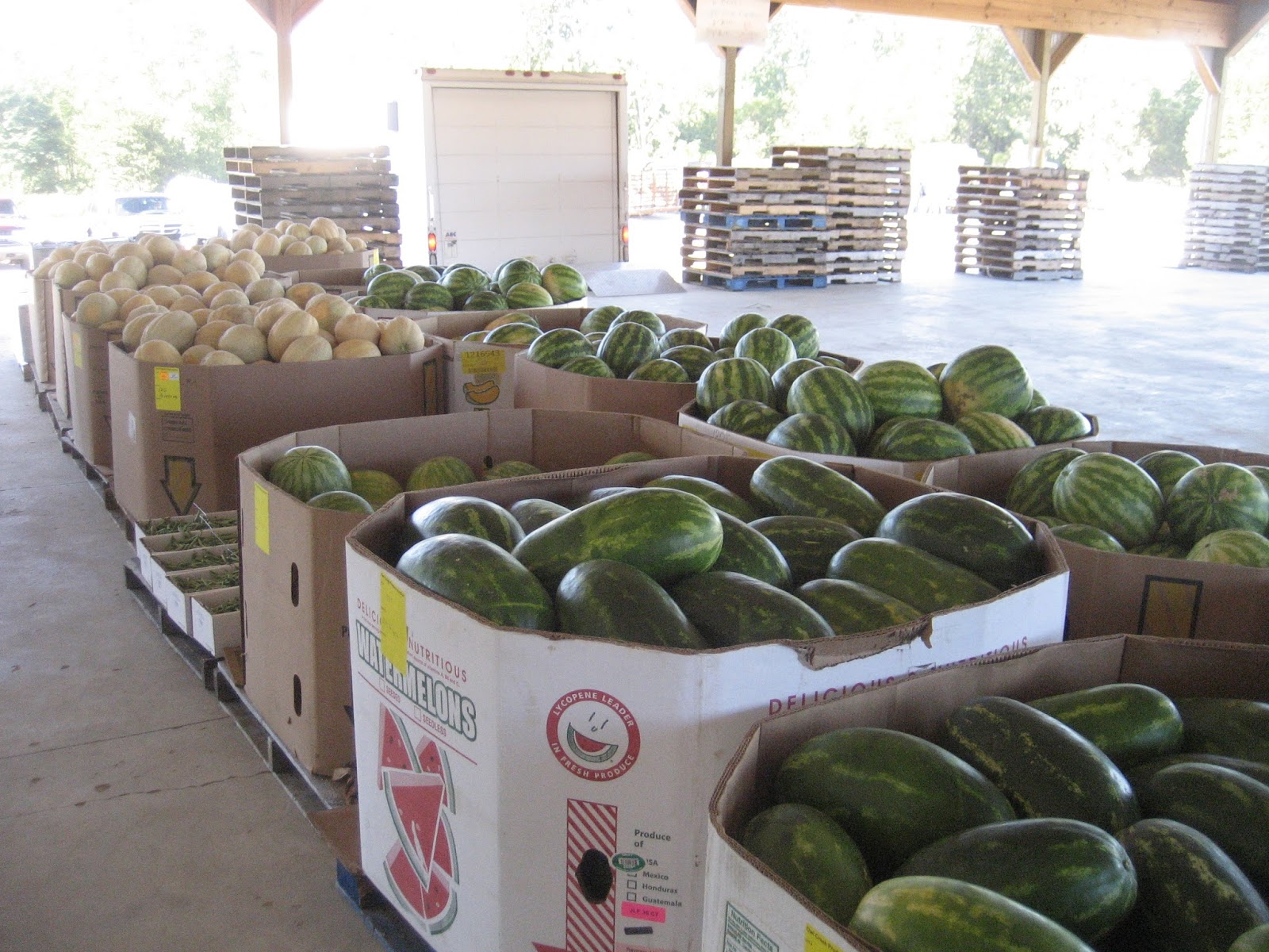 Owl Creek Produce Auction A nice selection for Friday's auction. Very