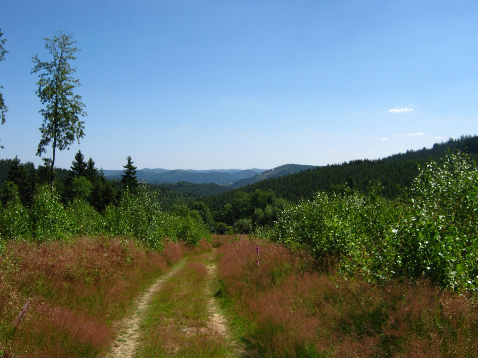 Das Wanderhexchen