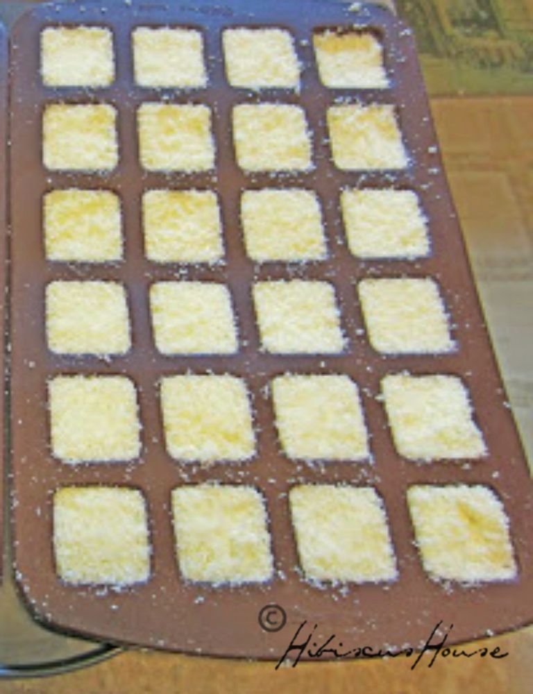 Hibiscus House Homemade Dishwasher Tabs