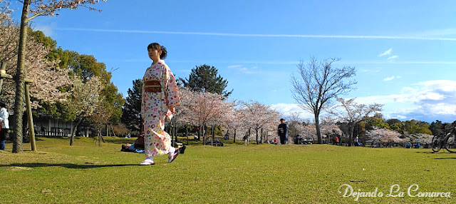 Día 10 - Nara - Osaka - Japón primavera 2016 - 18 días (con bajo presupuesto) (17)