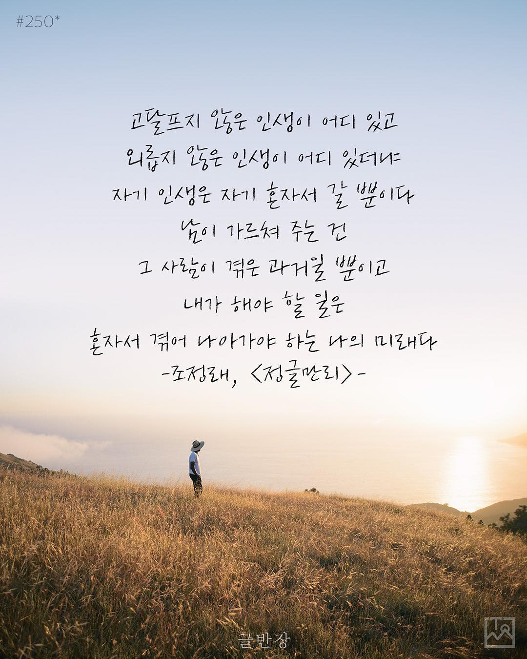 자기 인생은 자기 혼자서 갈 뿐이다 - 조정래, <정글만리>