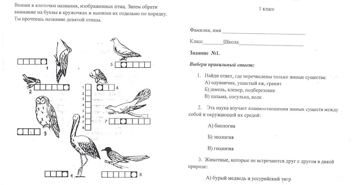 олимпиадные задания биология 10 класс
