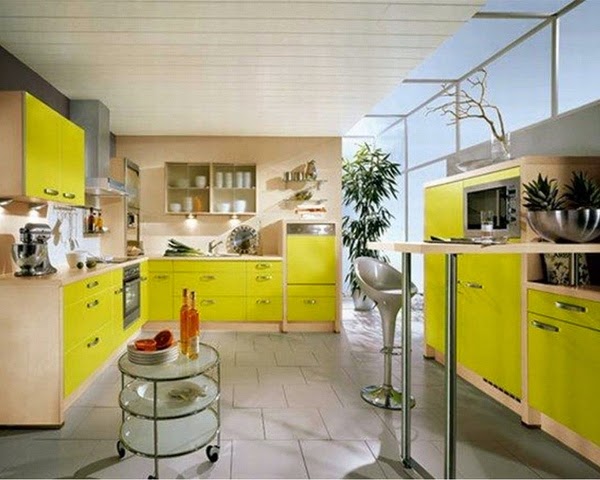 Kitchen Colors Style 2014