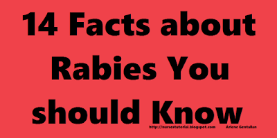 14 Facts about Rabies You should Know