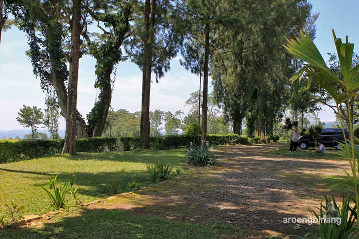 agrowisata perkebunan teh pagilaran batang