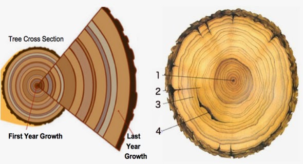 NephiCode: How Far Back Can We Measure Dates? Part VII