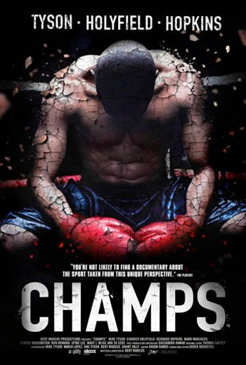 Champs DVDRip Latino