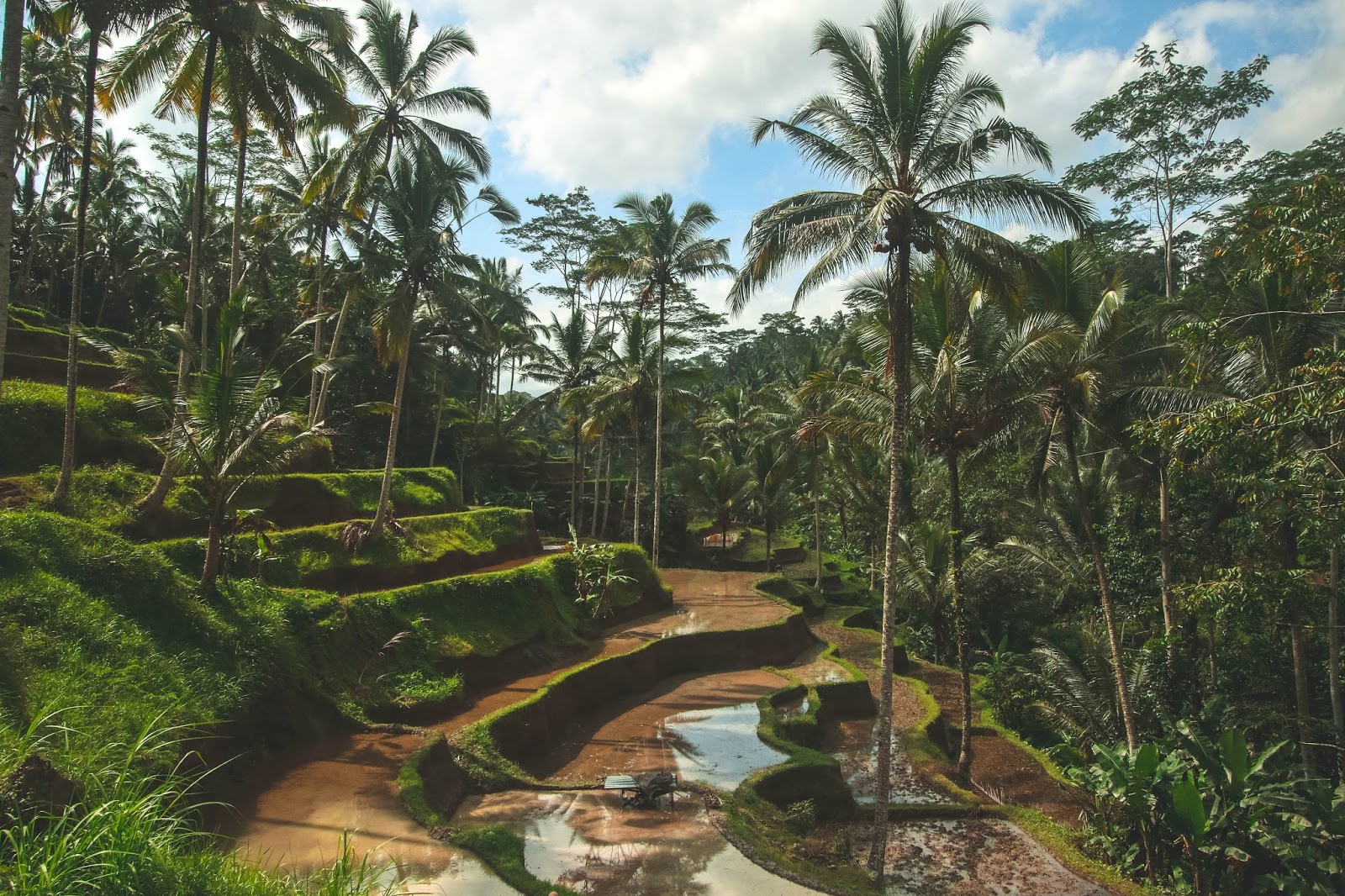 Be prepared for your first visit to the amazing places in Bali with this top 10 Bali guide.