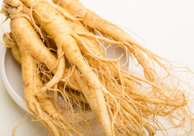 Manfaat Ginseng Untuk Kesehatan Mulai Diabetes Hingga Kanker Manfaat Ginseng Untuk Kesehatan Mulai Diabetes Hingga Kanker