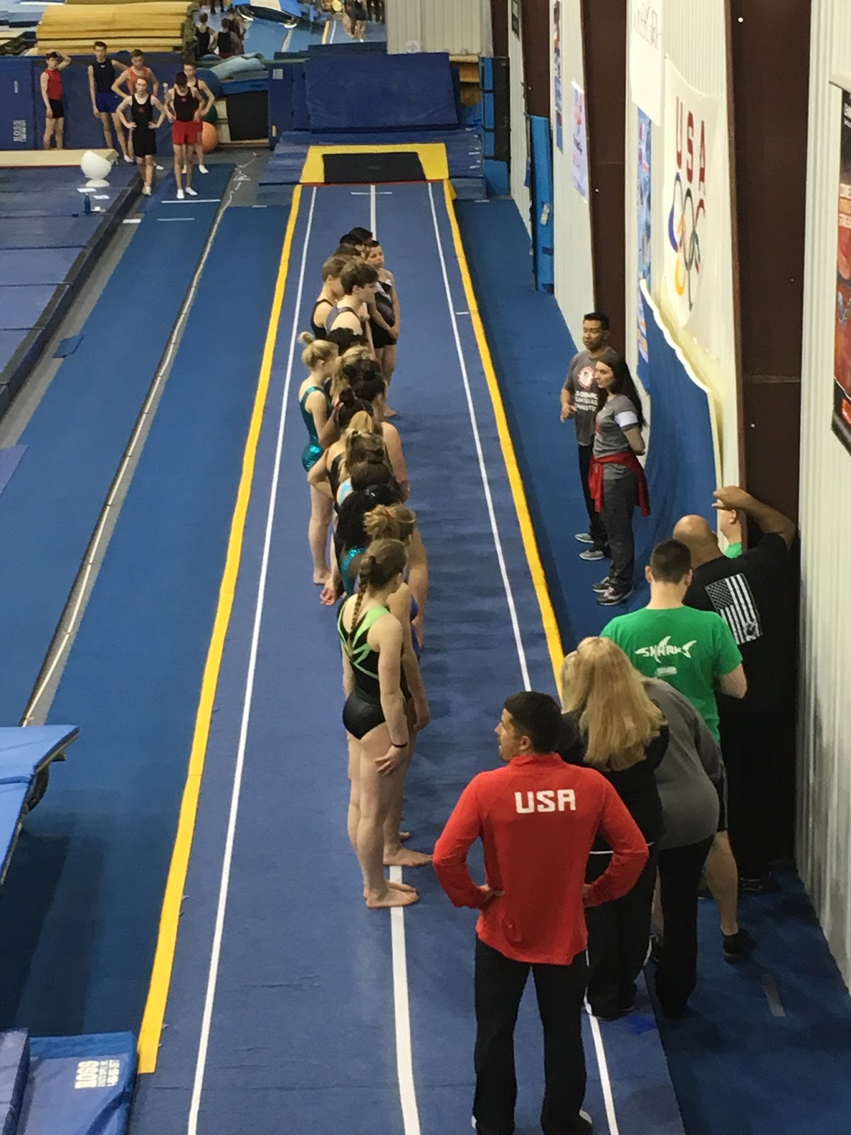 OAKVILLE GYMNASTICS CLUB TUMBLING PROGRAM USA Gymnastics Development
