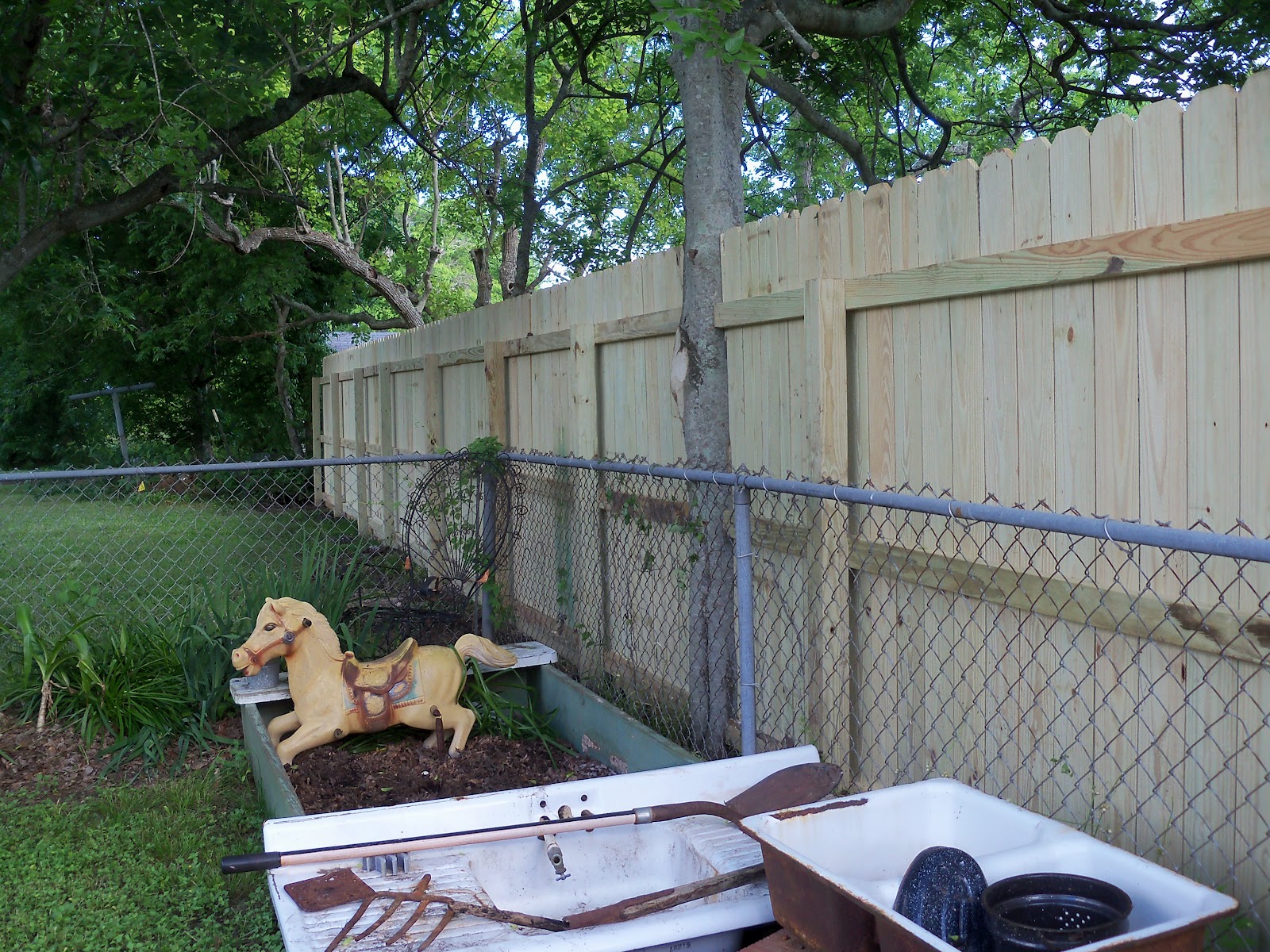 Back yards, fences, neighbors....