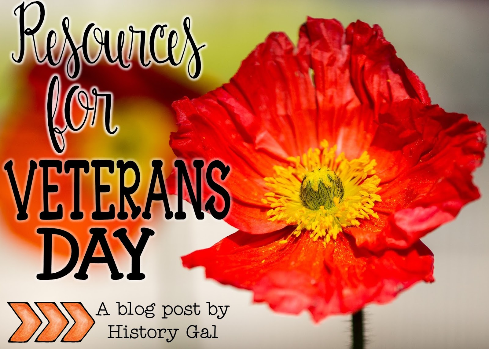 Veterans day dental