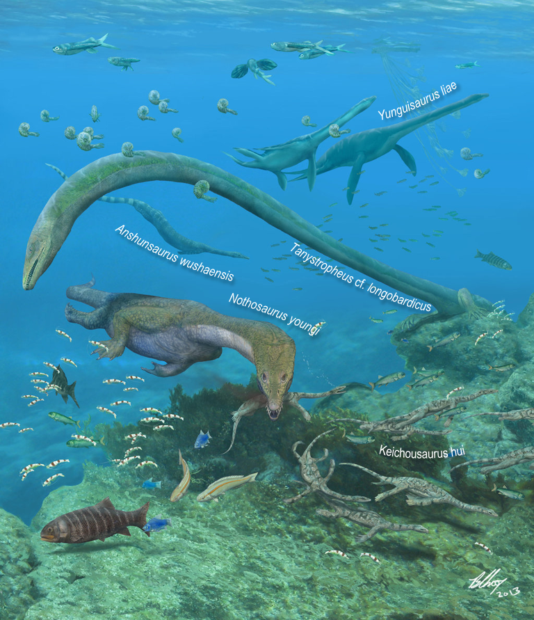 Palaeos, la historia de la Vida en la Tierra La evolución del cuello