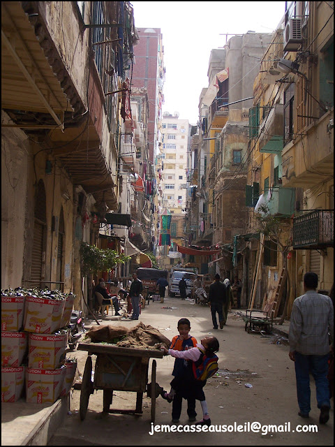Rue à Alexandrie
