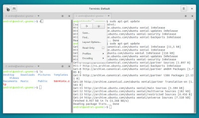 Terminix GTK3 tiling terminal emulator