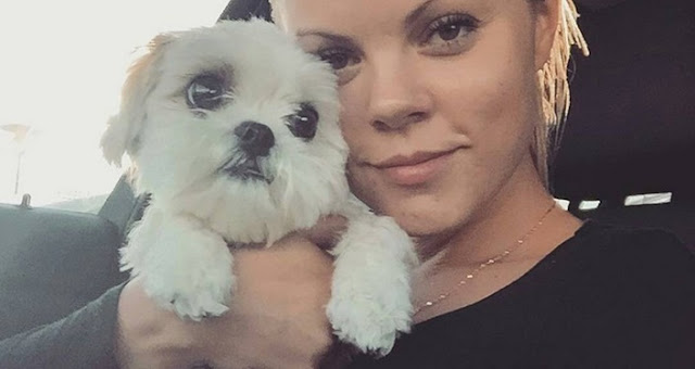 Sim! Para o SHIH-TZU você é como pai ou mãe, sugere pesquisa