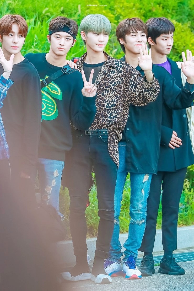 더보이즈 피지컬.jpgif | 인스티즈