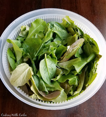 leaf lettuce in salad spinner