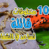 10 مخلوقات قاتلة قد تساعدك على الشفاء 10 مخلوقات قاتلة قد تساعدك على الشفاء