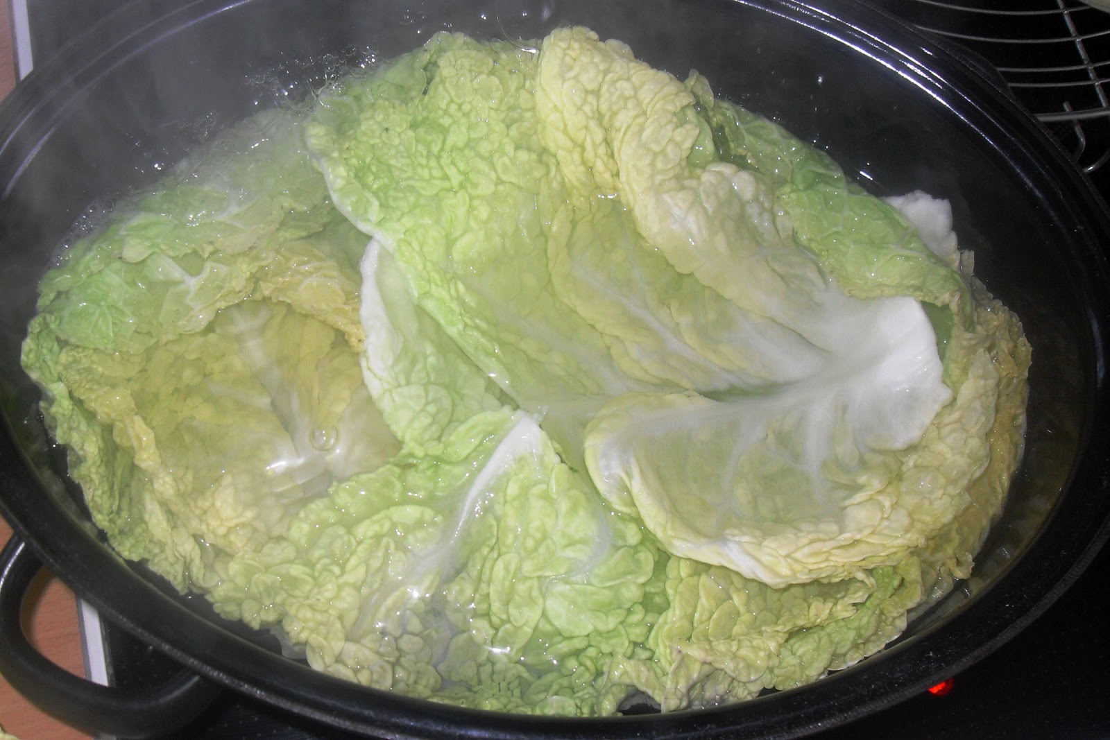 Sanna´s Hexenküche: Wirsing-Hack-Lasagne