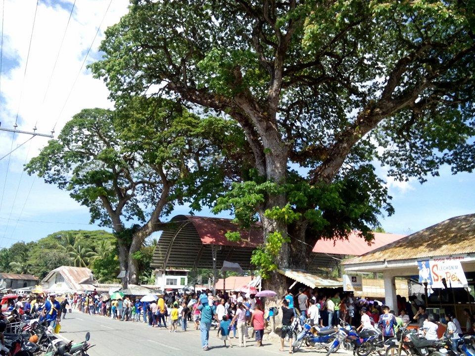 Bohol's Roving Eye Antequera Celebrates its Basket Festival