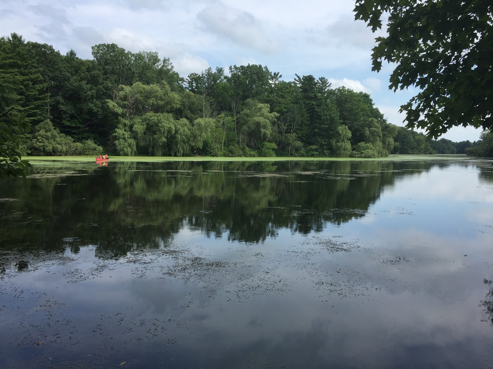Adventure Series The Mill Pond EcoTrail