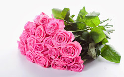 bouquet rose pink wallpapers backgrounds tag