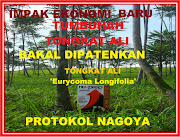 Nagoya Protokol,Tumbuhan Tongkat Ali Eurycoma Longifolia dipatenkan,Nu-Prep SUDAH TERJAMIN PATENNYA