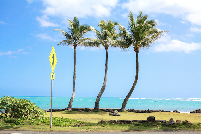 hawaii,oahu,east coast,sunrisemakeshawaii,lifestyle,la plage, trois cocotiers,SUNday