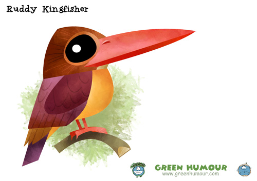 Ruddy Kingfisher NEW Animal Wildlife POSTER