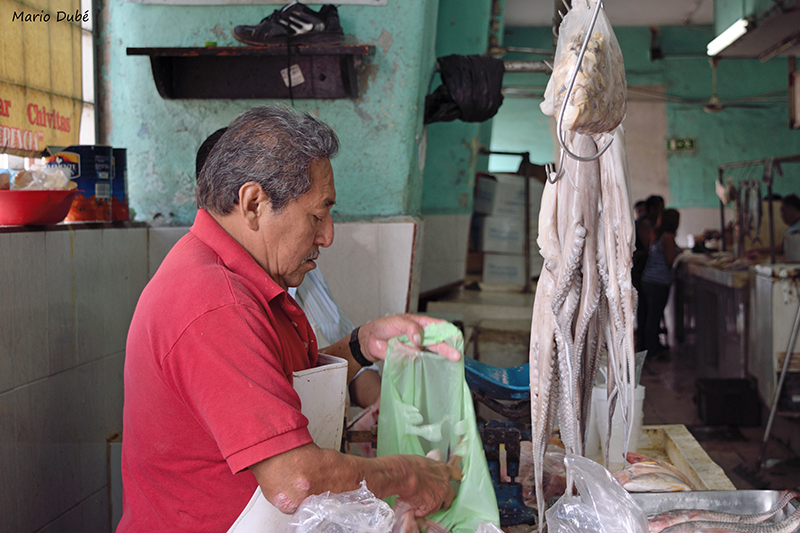 Vendeur de poisson au marché municipal de Mérida