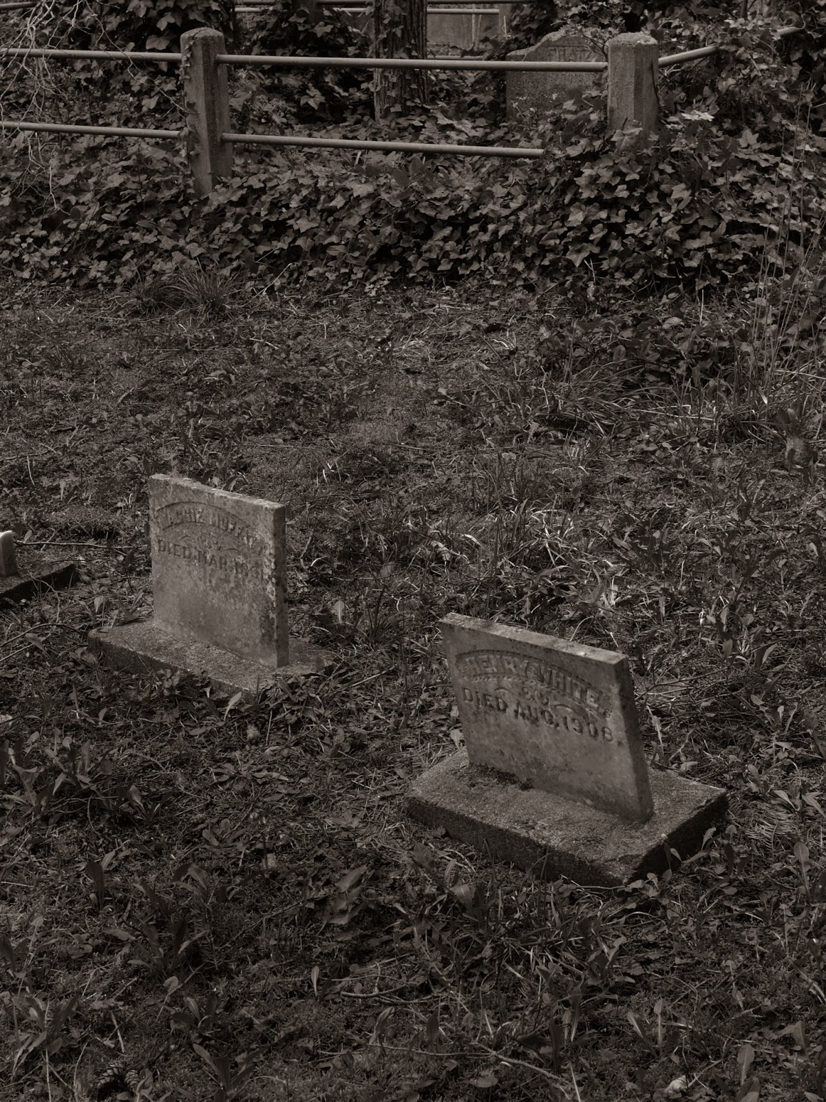 Pacific Northwest Discover Bay Cemetery, Jefferson County