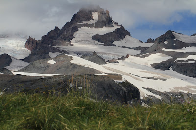 Little Tahoma from the Cowlitz Divide
