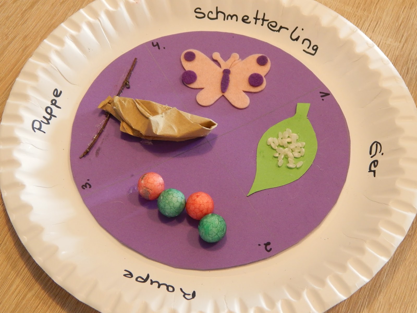 Natur-Bild von Michaela Häder | Schmetterling lebenszyklus, Raupe