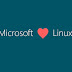 Microsoft "abre mão" de US$ 3,4 bilhões para proteger Linux