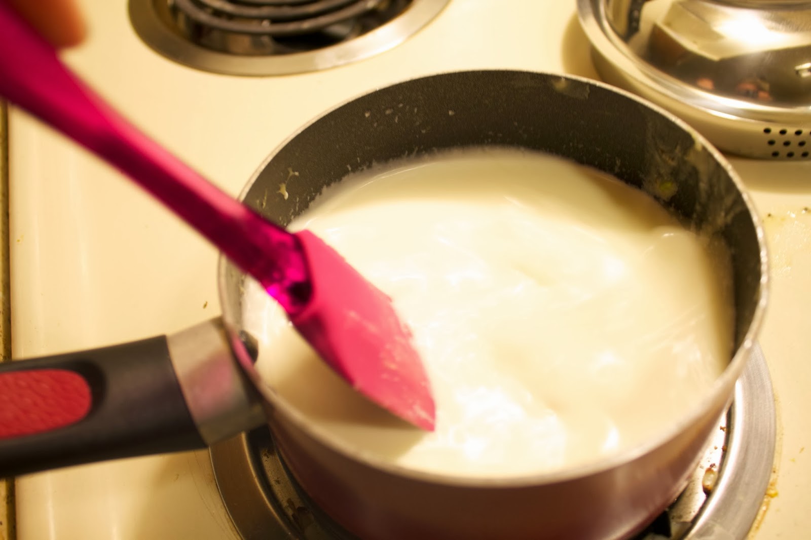 Kari Jo Cooks Palomino Sauce is god's gift to you