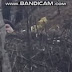 Видео "наказания" украинского гранатометчика снайпером ДНР(ВИДЕО 18+)