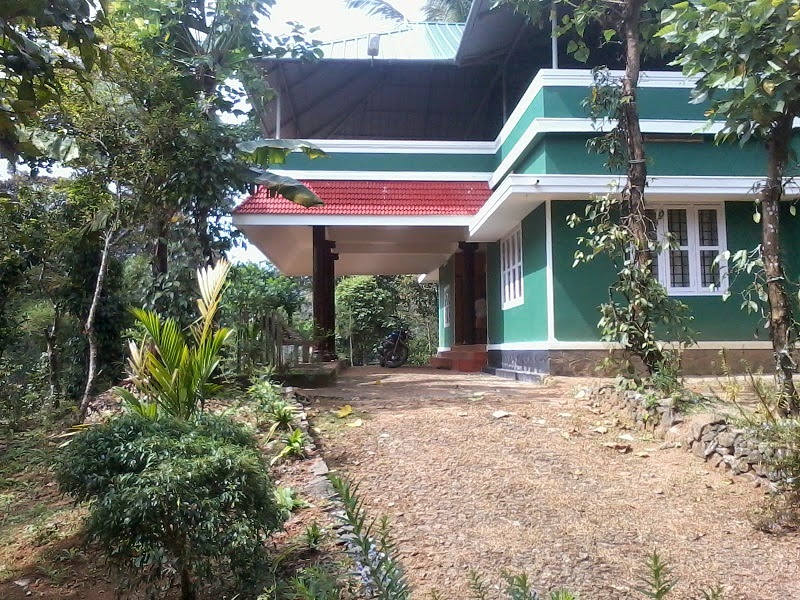 Green Cottage Munnar Family Cottage In Munnar Cottages In