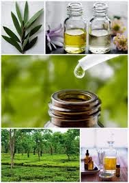 tea tree oil for healthy growth in hair