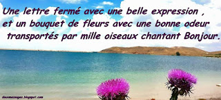 des images de bonjour image bonjour mon amour