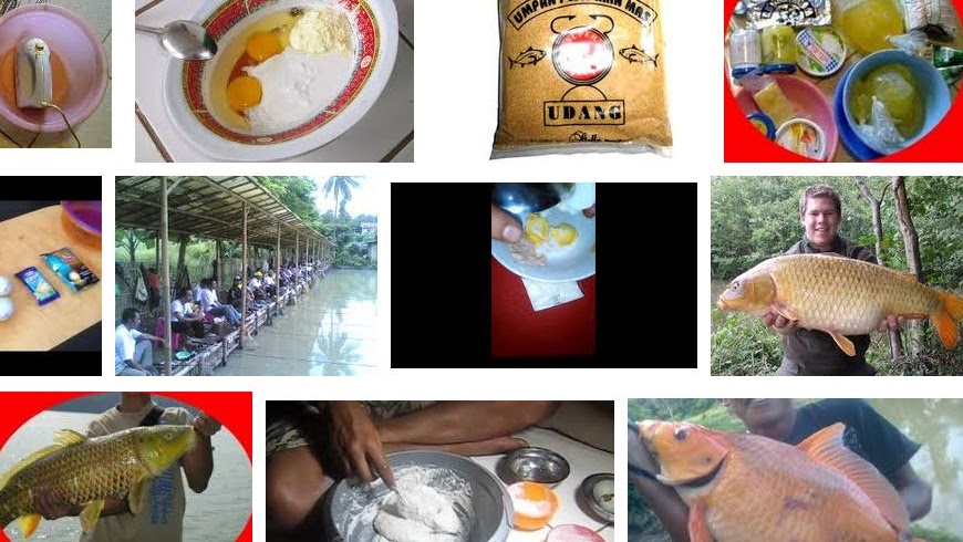 Resep Umpan Mancing Ikan Mas Sederhana Sekarang Ini<script async src=