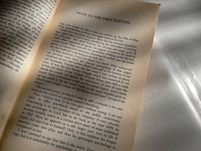 (book review)