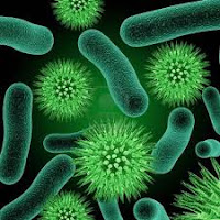 bakteri nitrifikasi - e-jurnal