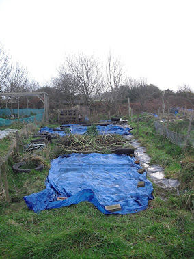 The new allotment