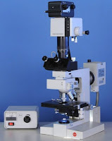 Gambar Mikroskop Ultraviolet